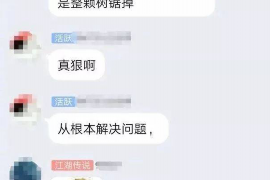 东营贷款清欠服务